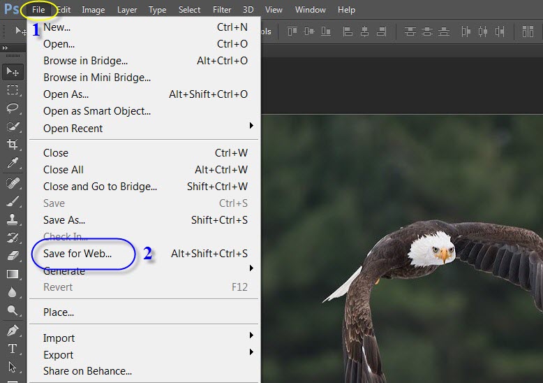 reduce-size-image-rightman-5 طریقه کاهش حجم فایل عکس توسط فتوشاپ به سادگی - ویژه ثبت نام در سایت جذب هیات علمی