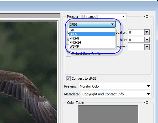 reduce-size-image-rightman-8 طریقه کاهش حجم فایل عکس توسط فتوشاپ به سادگی - ویژه ثبت نام در سایت جذب هیات علمی