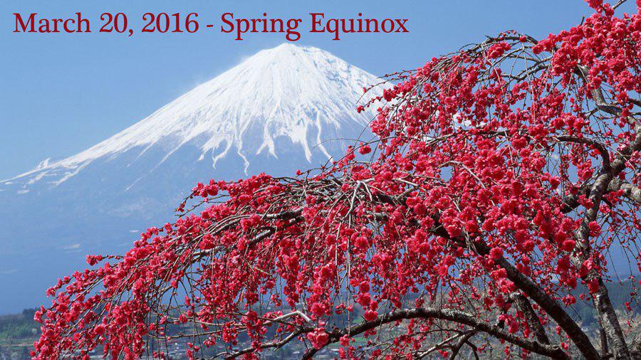 آموزش زبان انگلیسی از ابتدا تا انتها / کانال تافل / درس بیست و هشتم